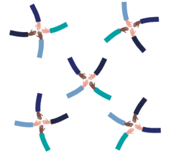 Hoe zorg je voor betrokken medewerkers